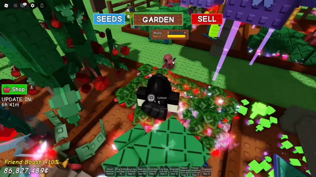 grow a garden feed pets