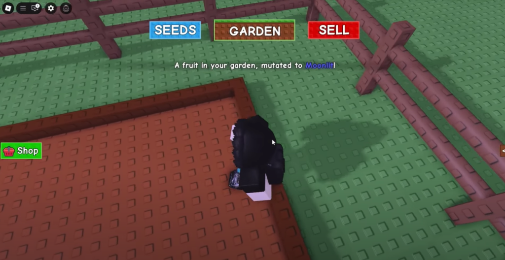 Grow A Garden Test Server